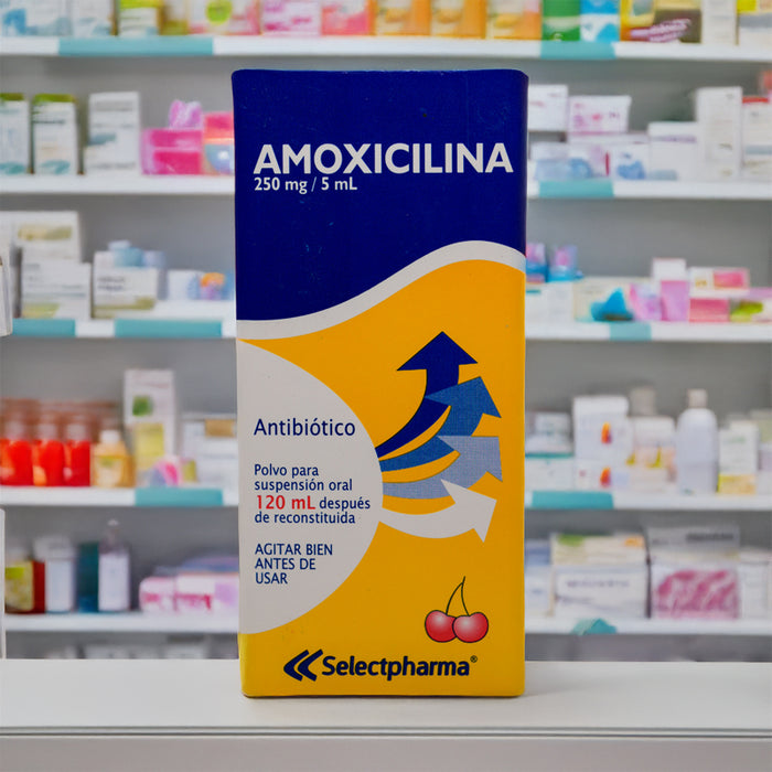 Amoxicilina 250 mg/5 mL – Selectpharma Adultos