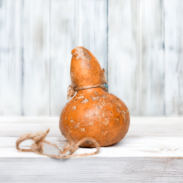 Tecomate Tradicional de Guatemala Mediano